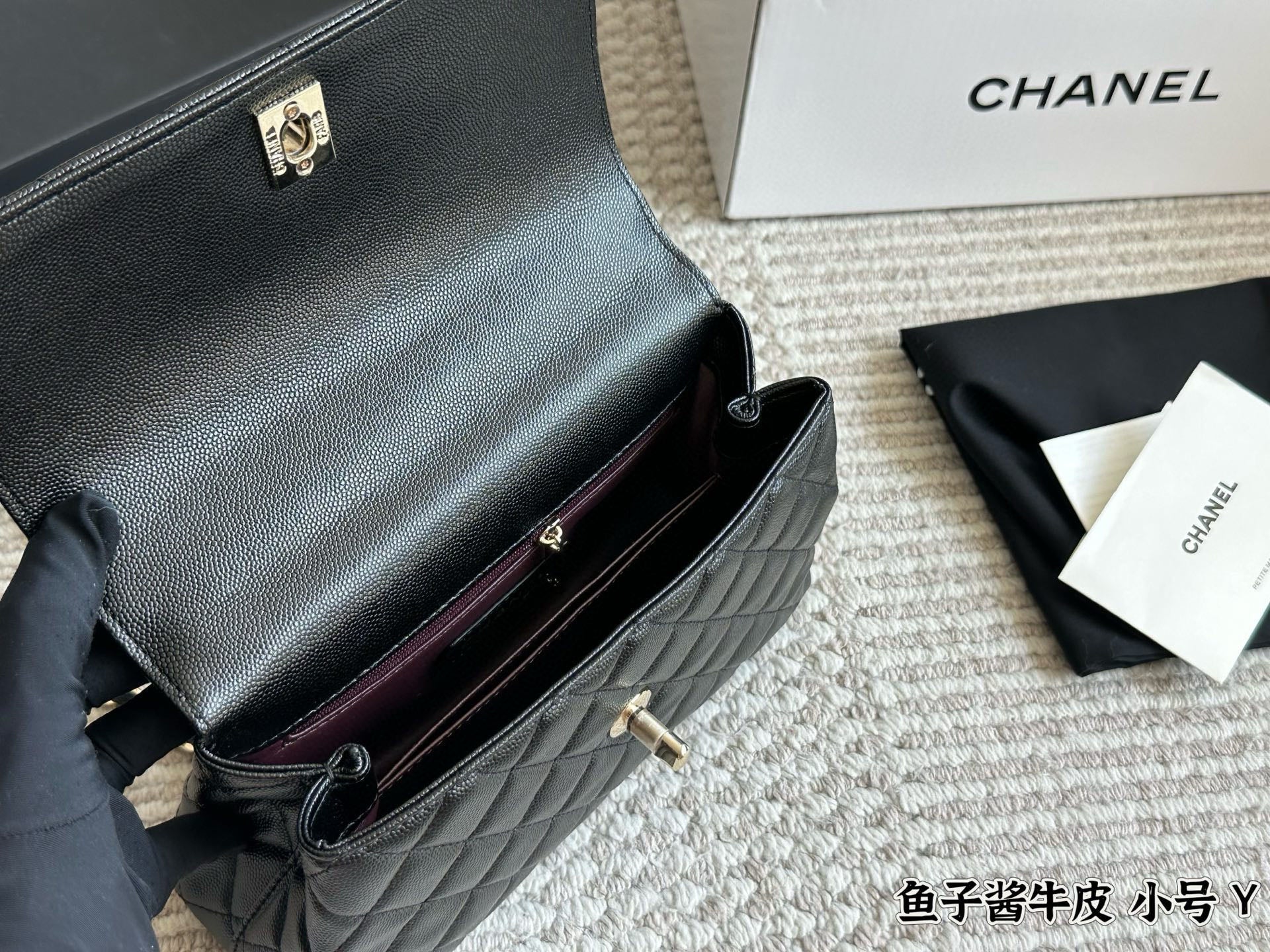 Chanel Coco Handle Small Bag