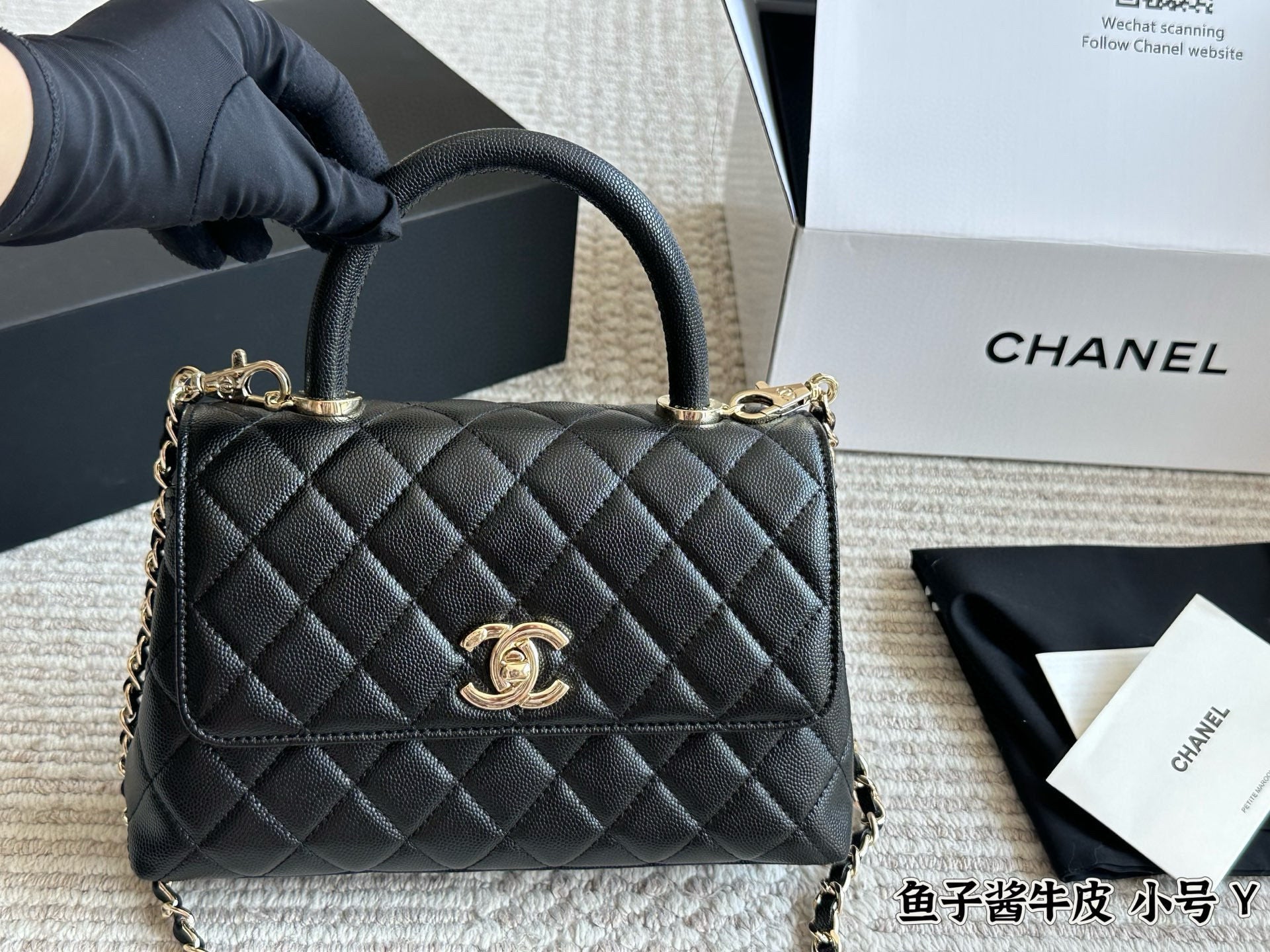 Chanel Coco Handle Small Bag