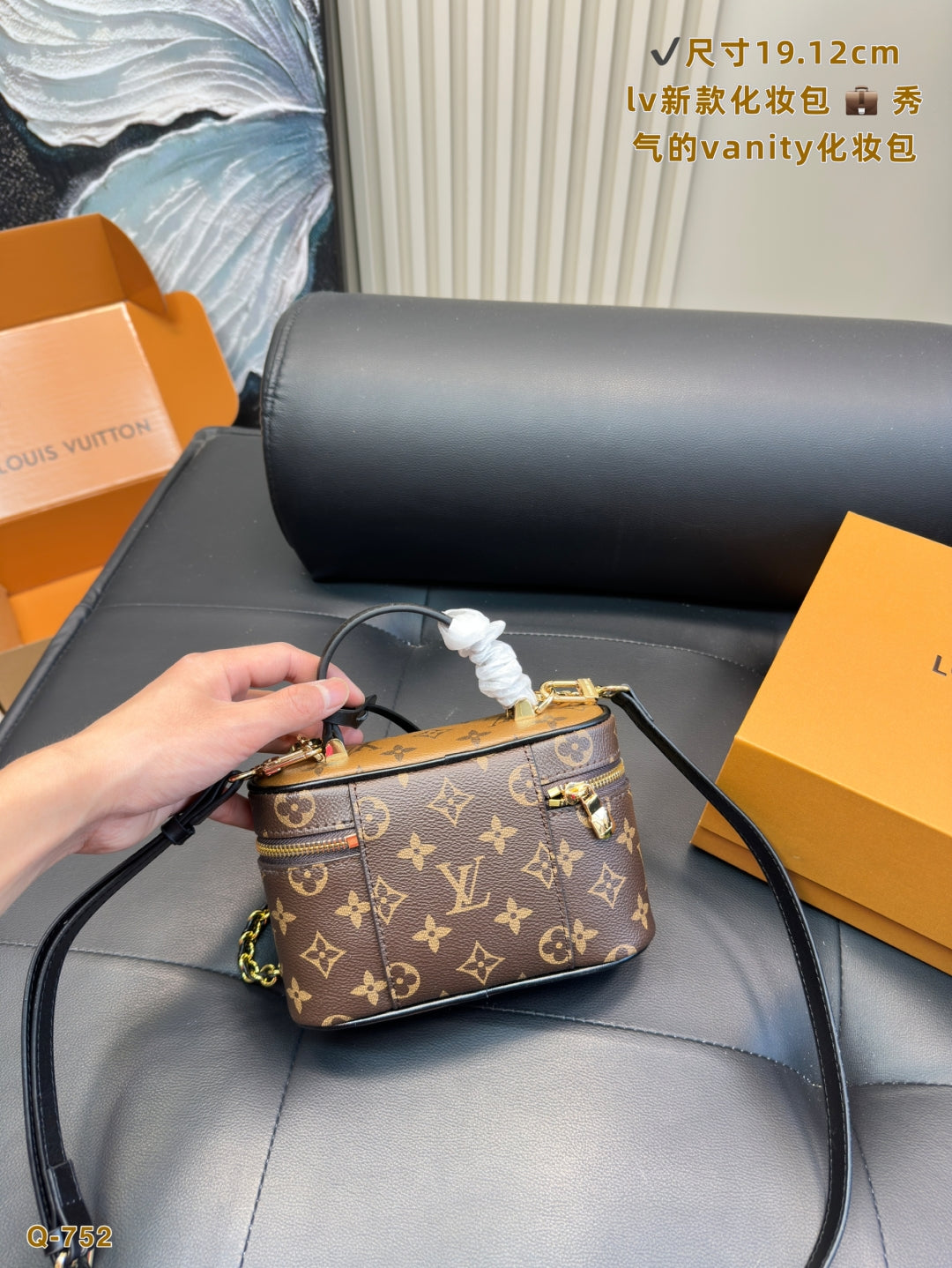 Louis Vuitton Vanity PM Monogram Canvas Bag