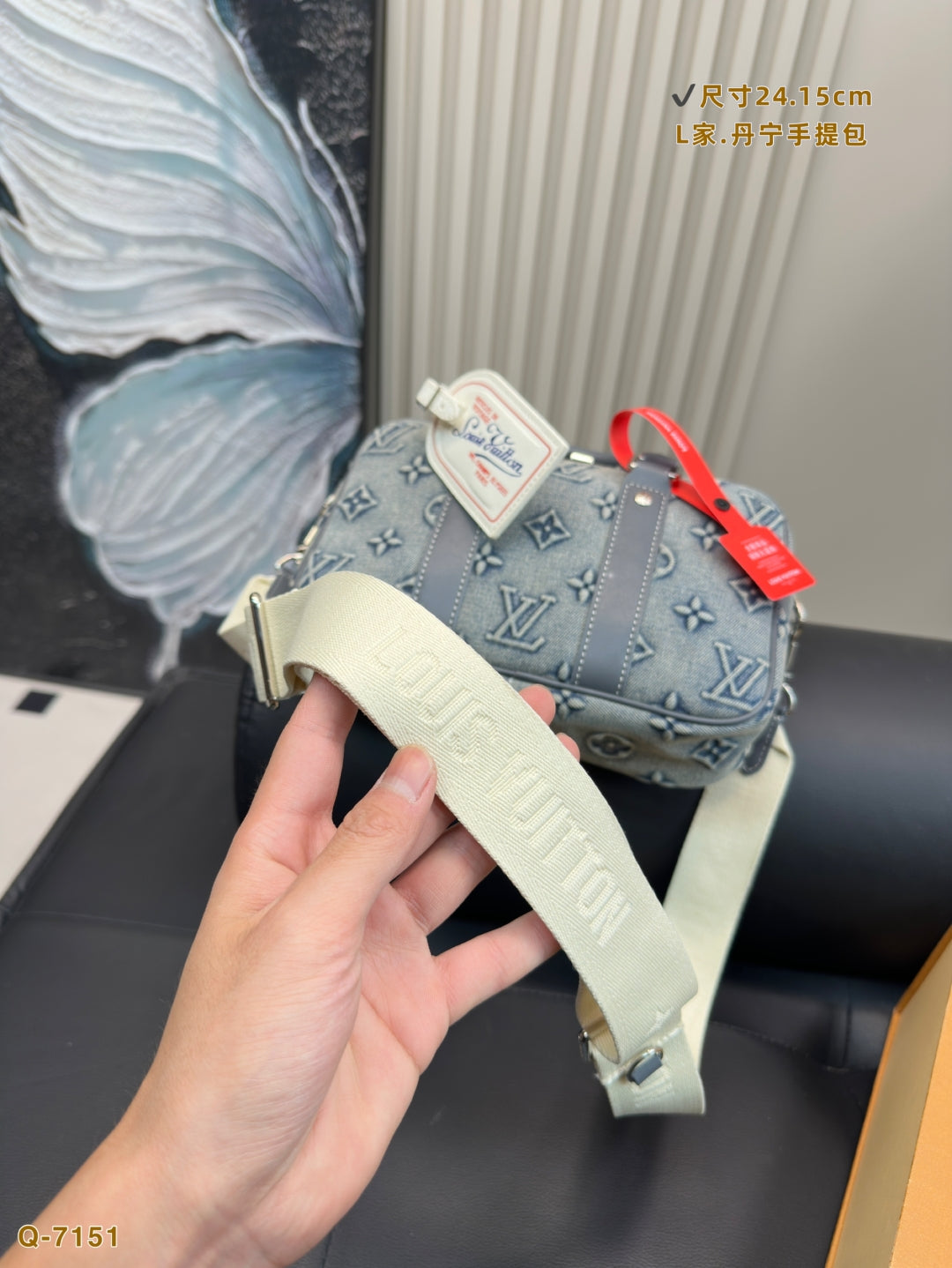 Louis Vuitton Speedy Bandoulière 25 Denim Blue Monogram Jacquard Bag