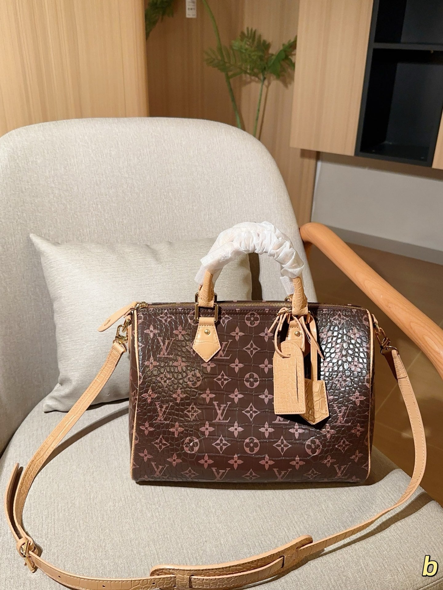 Louis Vuitton Speedy Bandoulière